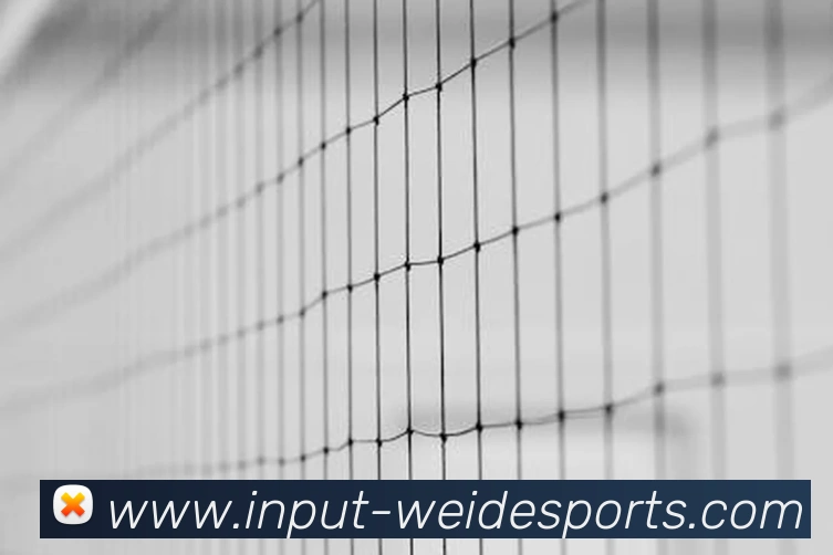 伟德体育发展历程